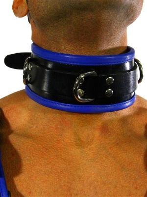 Rude Rider Collar 3 D-Ring with Padding Leather Black/Blue One Size