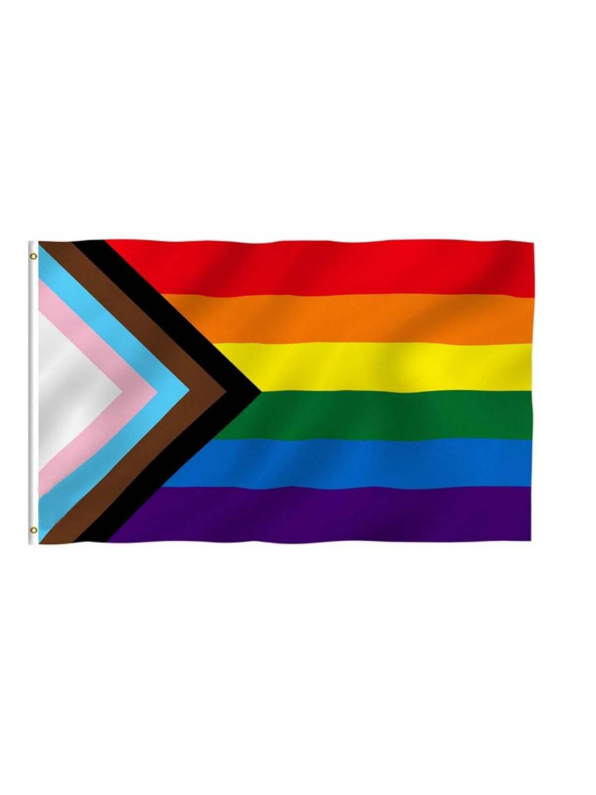 Progress Rainbow Flag 2018 (60 x 90 cm)