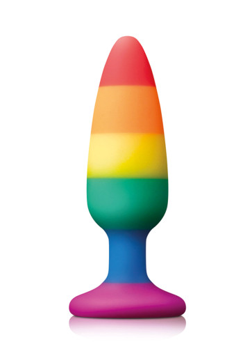 Pride Pleasure Plug Rainbow Medium