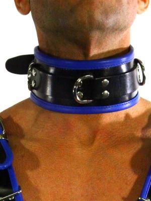 Rude Rider Collar 3 D-Ring with Padding Leather Black/Blue One Size