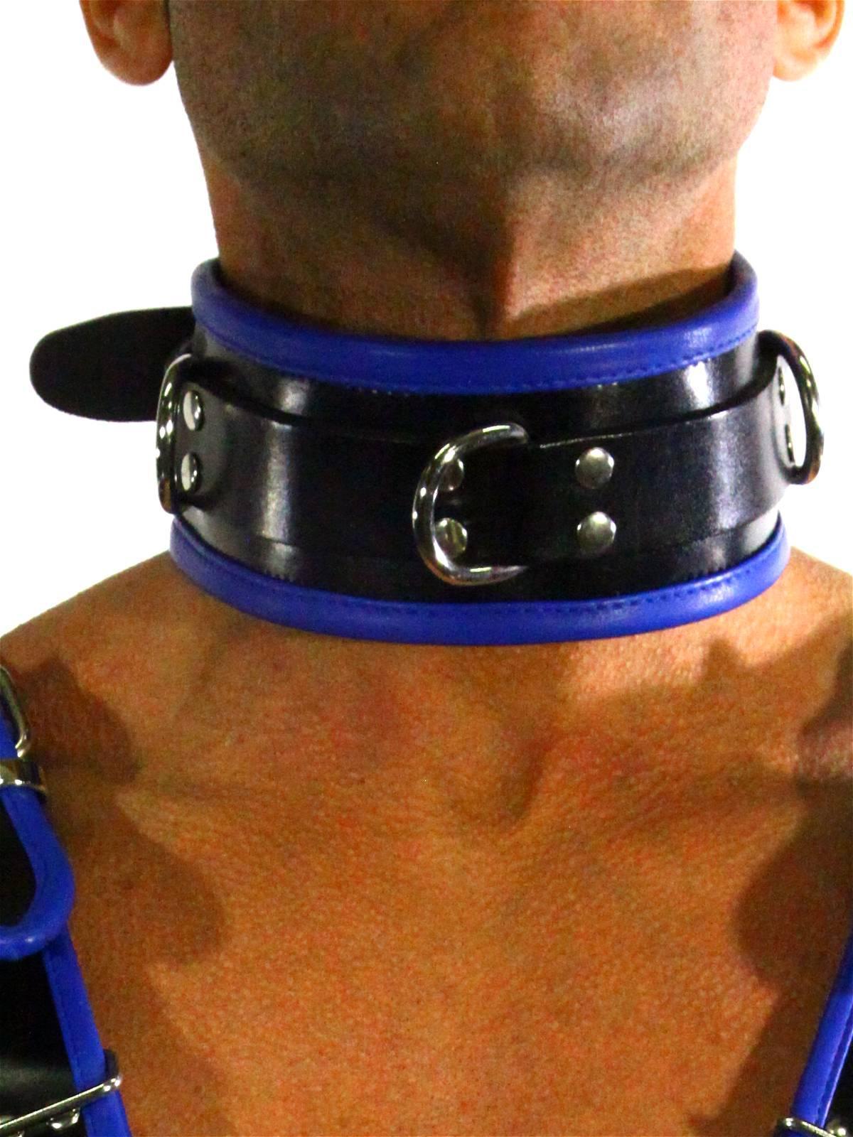 Rude Rider Collar 3 D-Ring with Padding Leather Black/Blue One Size