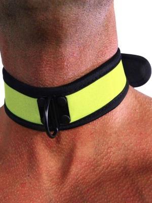Rude Rider Neoprene Puppy Collar Yellow